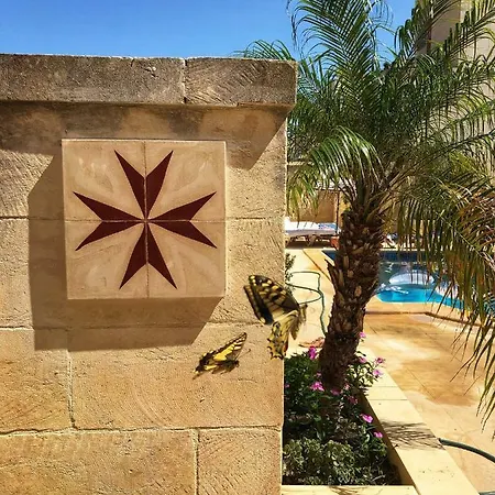 Molendini فيلة *