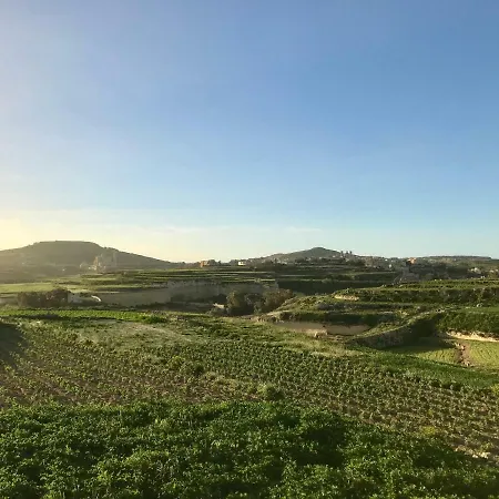 Molendini فيلة *