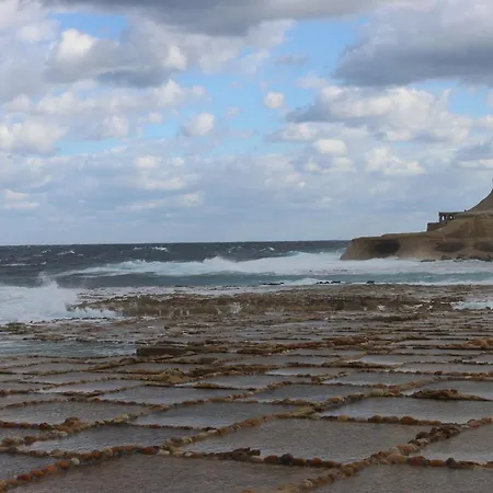 فيلة Molendini *