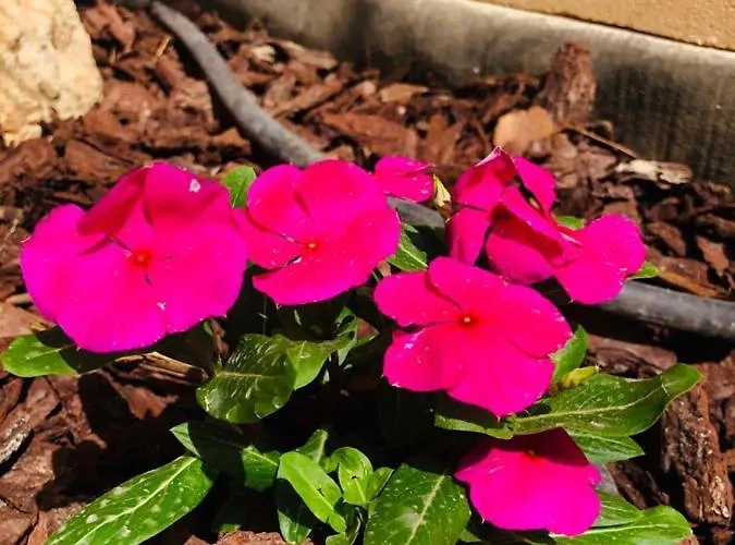 Molendini 빌라 가르브